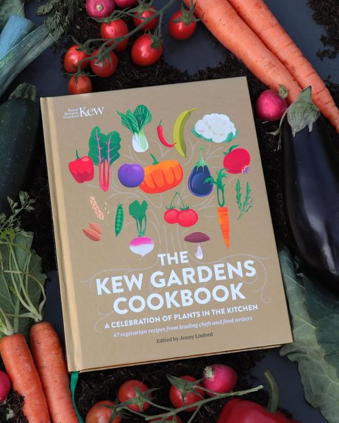 Thumbnail of p-c2ldmmki5co-ec19a41a41ad4bfb 1