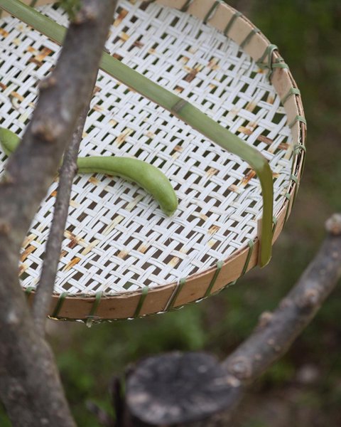 Thumbnail of p-cadrjzli5wq-ec1be146205442f4 4