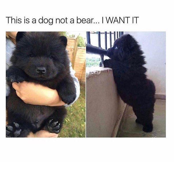 Thumbnail of p-bnwdbakhqqc-ec4577f8b5664b49 0