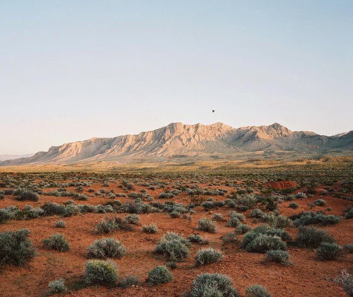 Thumbnail of p-cbyx3npjlku-ec5b67456b2042dd 0