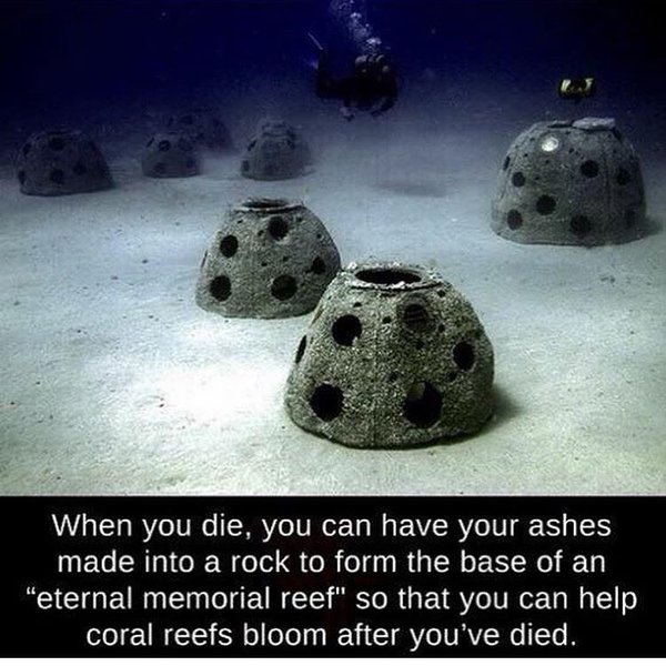 Thumbnail of p-b6noltvbsdp-ec67e86b98244aac 0