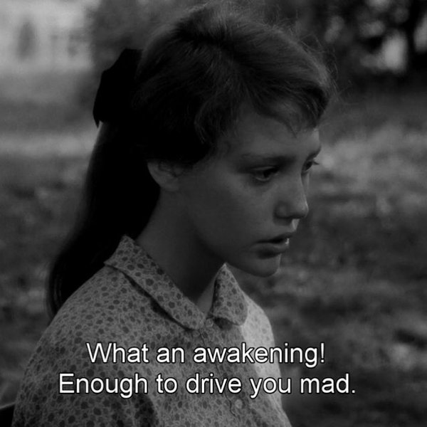 Thumbnail of p-bz3nve1adj1-ec73d7a5dfd849af 0