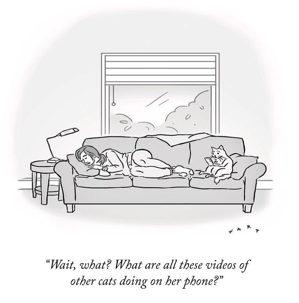 Thumbnail of cx0o-puxnnq-ecece12829634966 0