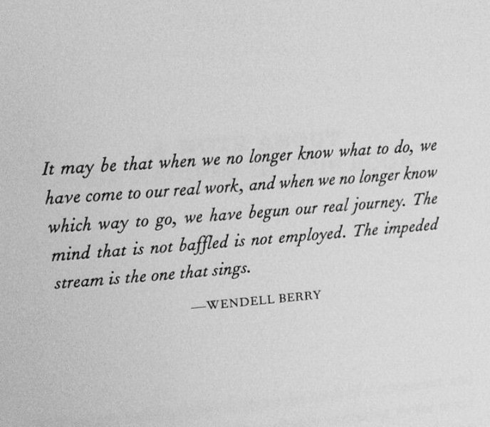 Thumbnail of p-dmdecz1szrw-ed0bb8f6b41c46ed 0