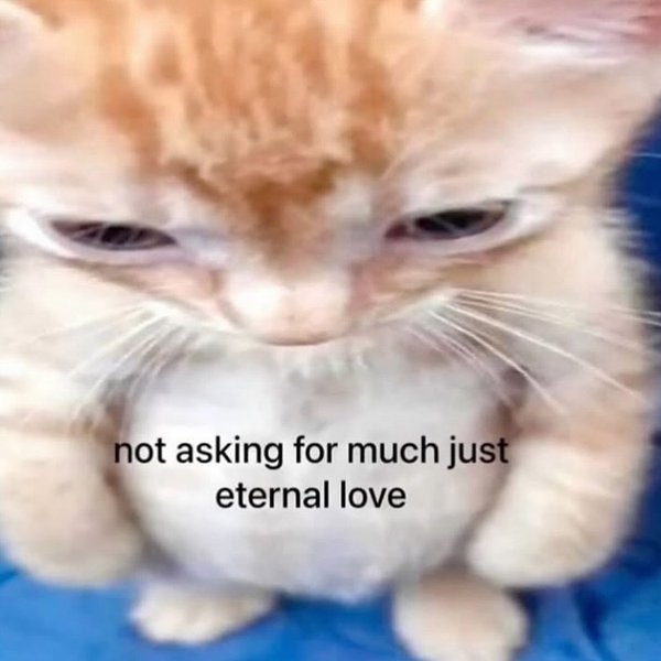 Thumbnail of p-dk1hj9torv-ed447a5bb3904d8a 11