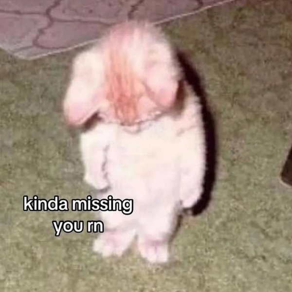 Thumbnail of p-dk1hj9torv-ed447a5bb3904d8a 12