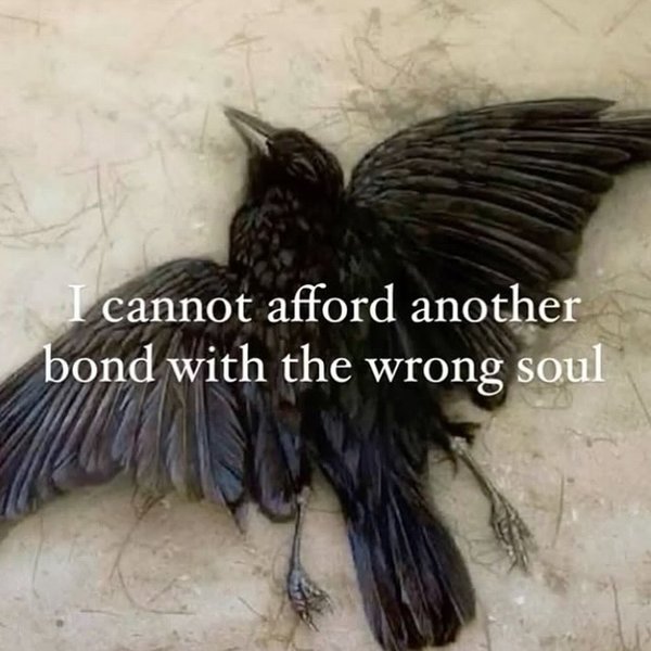 Thumbnail of p-dk1hj9torv-ed447a5bb3904d8a 14