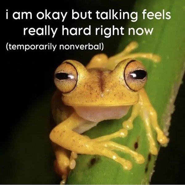 Thumbnail of p-dk1hj9torv-ed447a5bb3904d8a 18