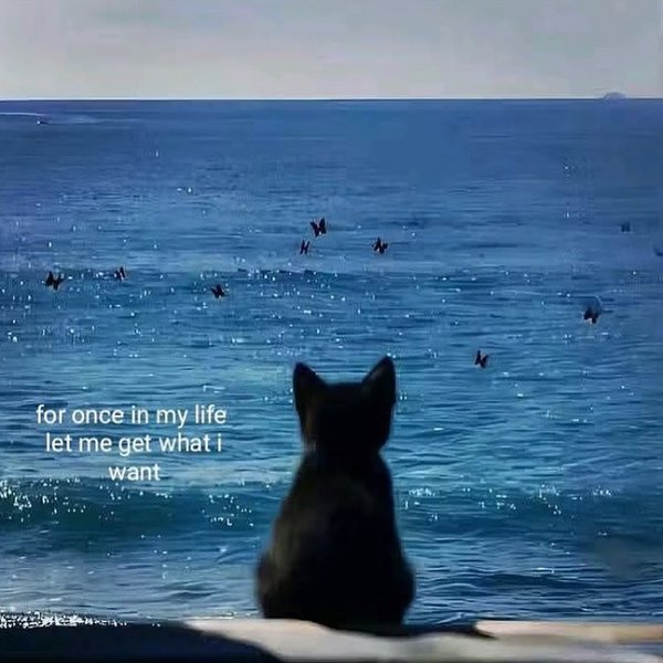 Thumbnail of p-dk1hj9torv-ed447a5bb3904d8a 9