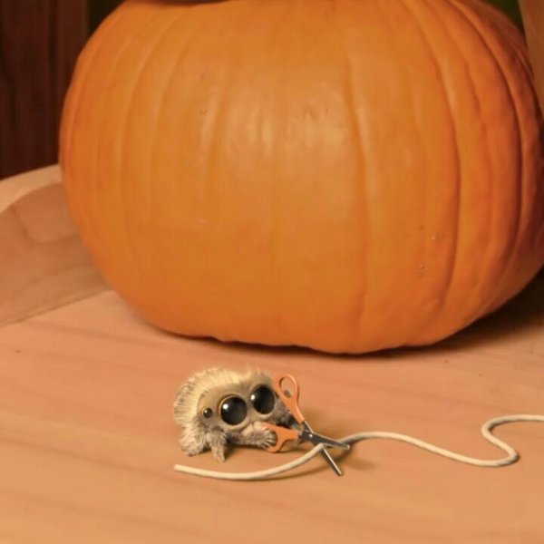 Thumbnail of bpz6kadj-a-ed9f42b97ec04ab0 0