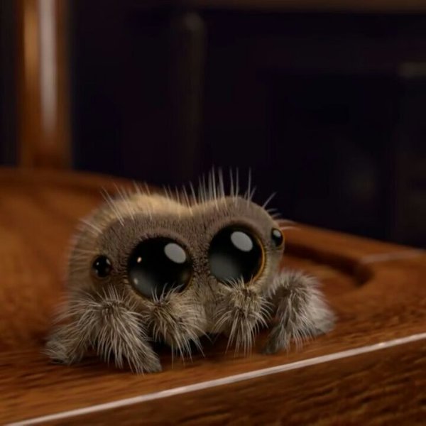 Thumbnail of bpz6kadj-a-ed9f42b97ec04ab0 2