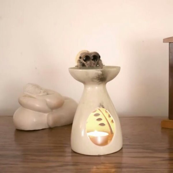 Thumbnail of bpz6kadj-a-ed9f42b97ec04ab0 3