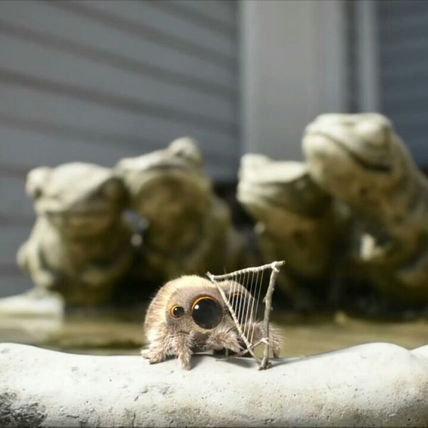 Thumbnail of bpz6kadj-a-ed9f42b97ec04ab0 4