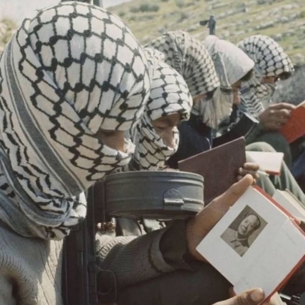 Thumbnail of p-ddg97fcxj7y-edb3dee6ff644531 5