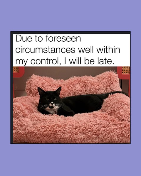 Thumbnail of p-dfovc4rx54h-edcf6e65d4de4ee8 2