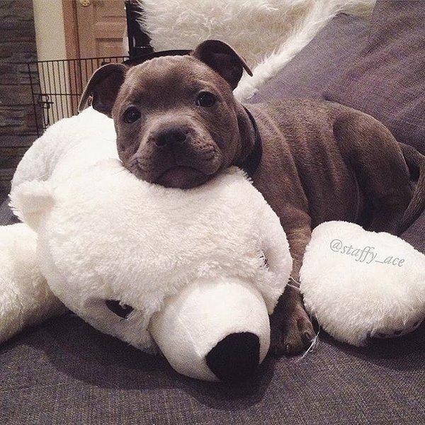 Thumbnail of p-bwfscuthdq0-edd53e8ee4be4458 0