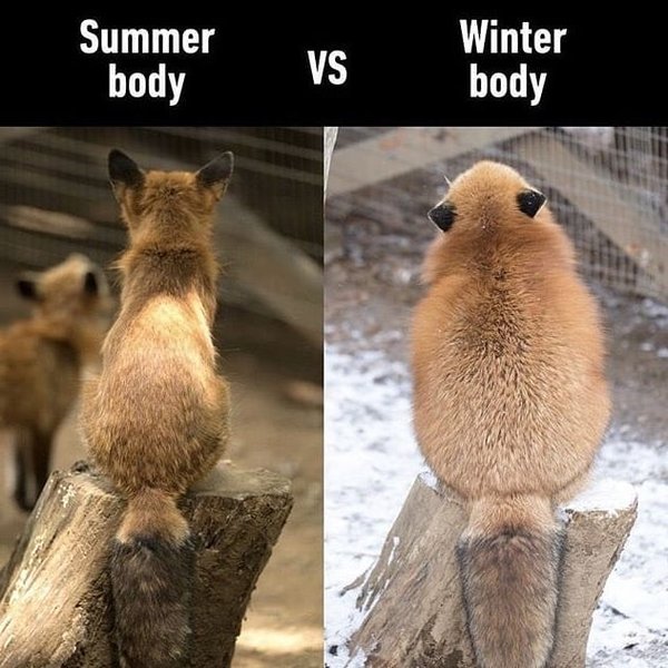 Thumbnail of brplt9ugm-k-ee330b4751154ade 0