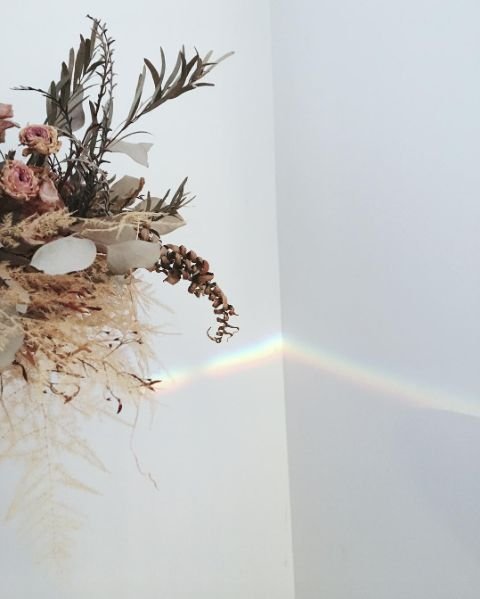 Thumbnail of p-bpvwlldatfn-ee4487df521a42fa 0