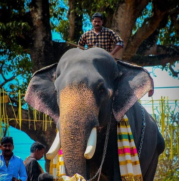 Thumbnail of p-b0i3ievbgzz-ee612ee6120d4ced 0