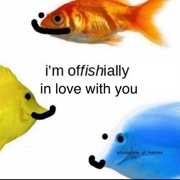 Thumbnail of p-cbbw760fere-ee88d528d9e54025 0