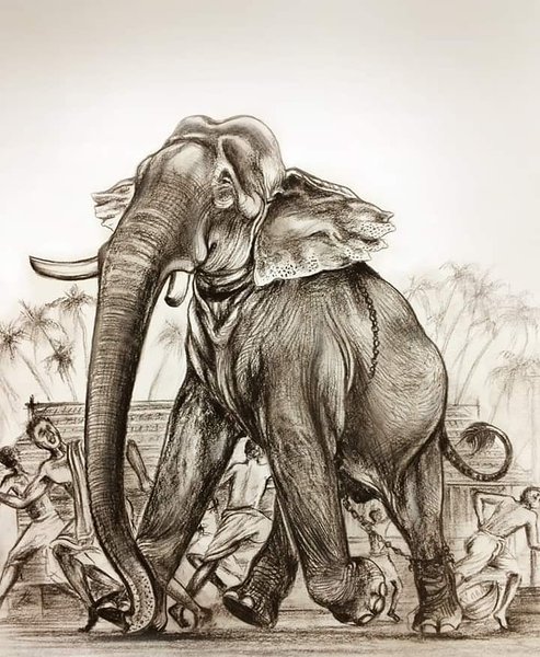 Thumbnail of p-b25onyfbbiy-ee974872b04249a8 0