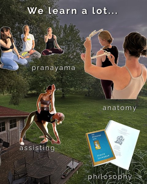 Thumbnail of p-dnh0ioxidst-ee9946a490ab4414 4