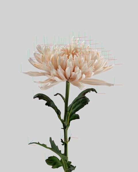 Thumbnail of p-codcmgmtkon-ee9a7b3eeca8444e 0