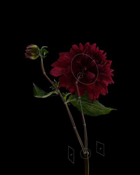 Thumbnail of p-codcmgmtkon-ee9a7b3eeca8444e 2