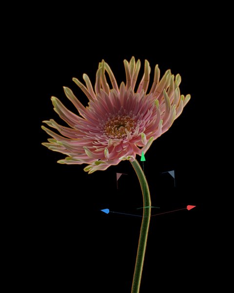 Thumbnail of p-codcmgmtkon-ee9a7b3eeca8444e 5