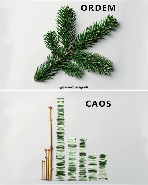 Thumbnail of p-cx4blqnvmbt-eea9ae02436f40a2 0