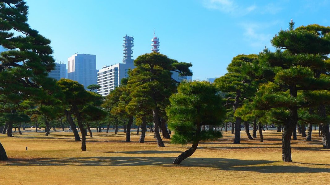 Thumbnail of p-dhenozhuc89-eeb8595bd7dd4c11 0