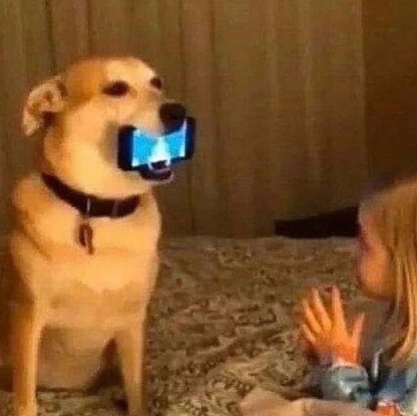 Thumbnail of b4x-khqfkta-eee52fd89f1d4568 1