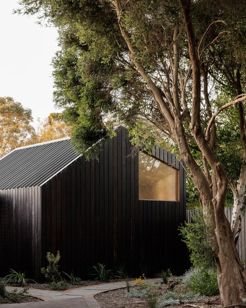 Thumbnail of p-cssupgennzd-eef8a23df1414d75 1