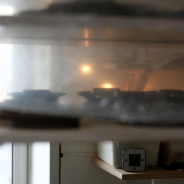 Thumbnail of b5vr-cxffwk-ef2b15a7d75a42a7 5