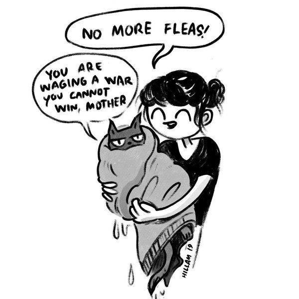 Thumbnail of p-b3y1e1df0fd-ef424d0cda6449d4 0