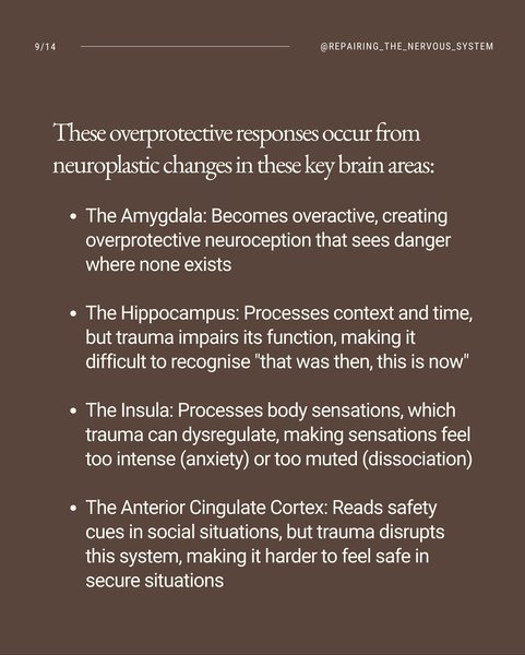 Thumbnail of p-dq8xypaetlj-ef779ed386e9497e 8