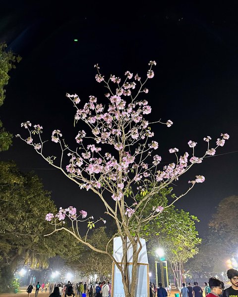 Thumbnail of p-coe1ptxjxde-ef8faae8931b4daf 5