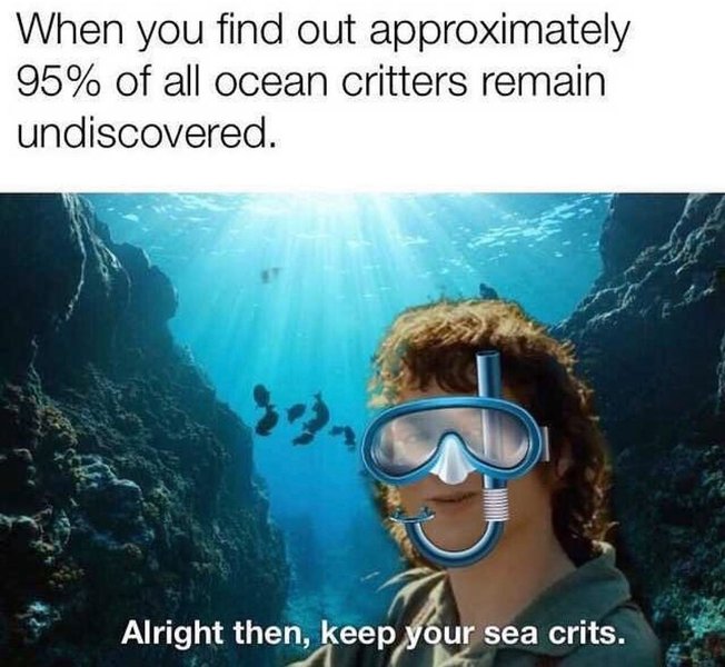 Thumbnail of bytktt-funk-ef9587e827f041d1 0