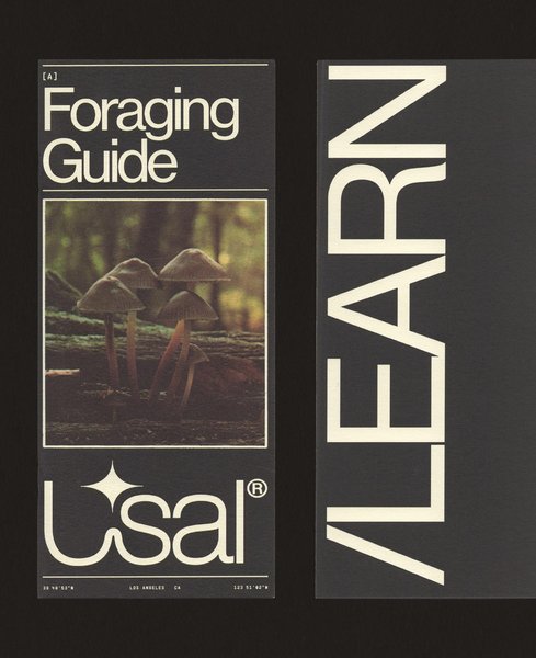 Thumbnail of p-cciqo5jpydy-efabb1cb20724e74 1