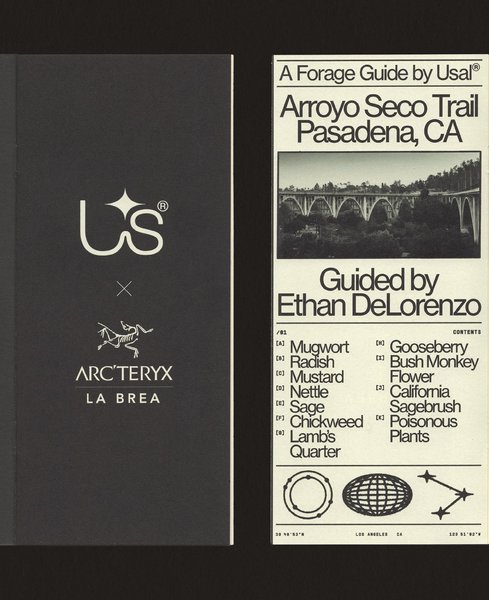 Thumbnail of p-cciqo5jpydy-efabb1cb20724e74 2