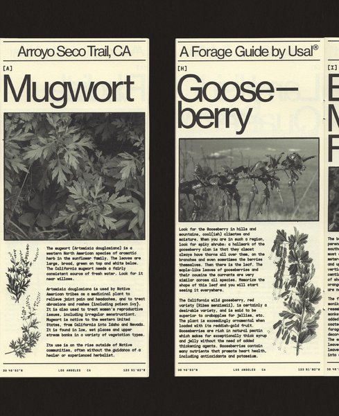 Thumbnail of p-cciqo5jpydy-efabb1cb20724e74 3