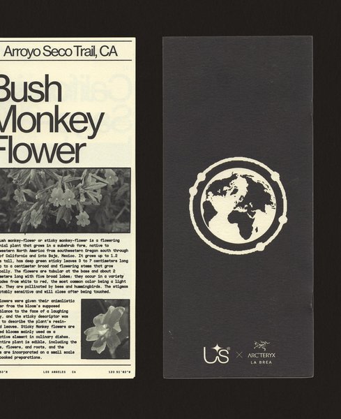 Thumbnail of p-cciqo5jpydy-efabb1cb20724e74 4