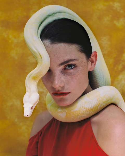 Thumbnail of p-boanfdebrcr-efb9b6a97ddd4462 0