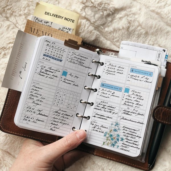 Thumbnail of p-csydczpoytz-effccc574906446e 0