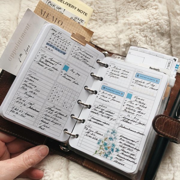 Thumbnail of p-csydczpoytz-effccc574906446e 1