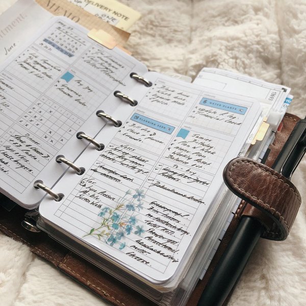 Thumbnail of p-csydczpoytz-effccc574906446e 2