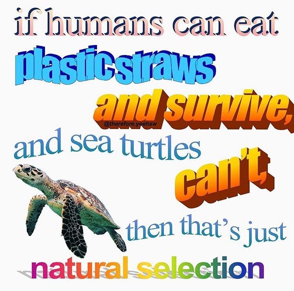 Thumbnail of b-0wdimh1iy-f00834a580204bd1 0