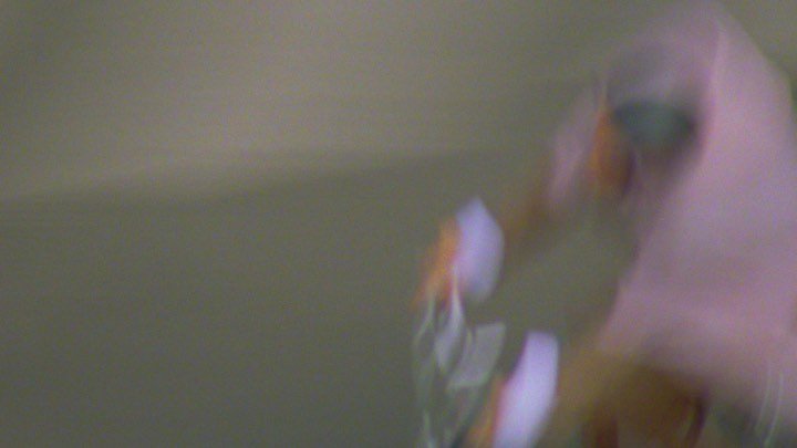 Thumbnail of cfjl-l6gzmi-f0084db26f254ee1 2