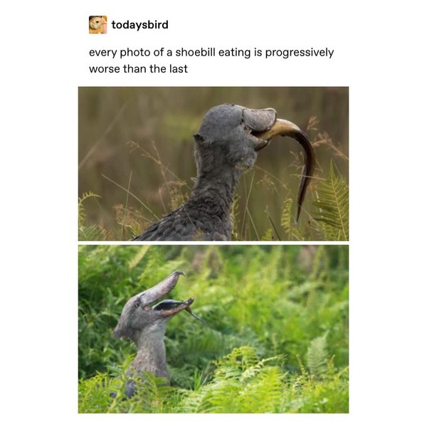 Thumbnail of p-bzvgqa6aplj-f00f04be50574753 0