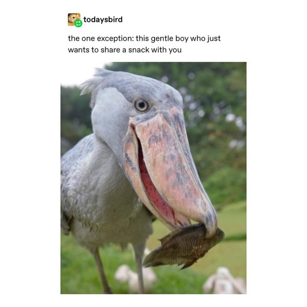 Thumbnail of p-bzvgqa6aplj-f00f04be50574753 2